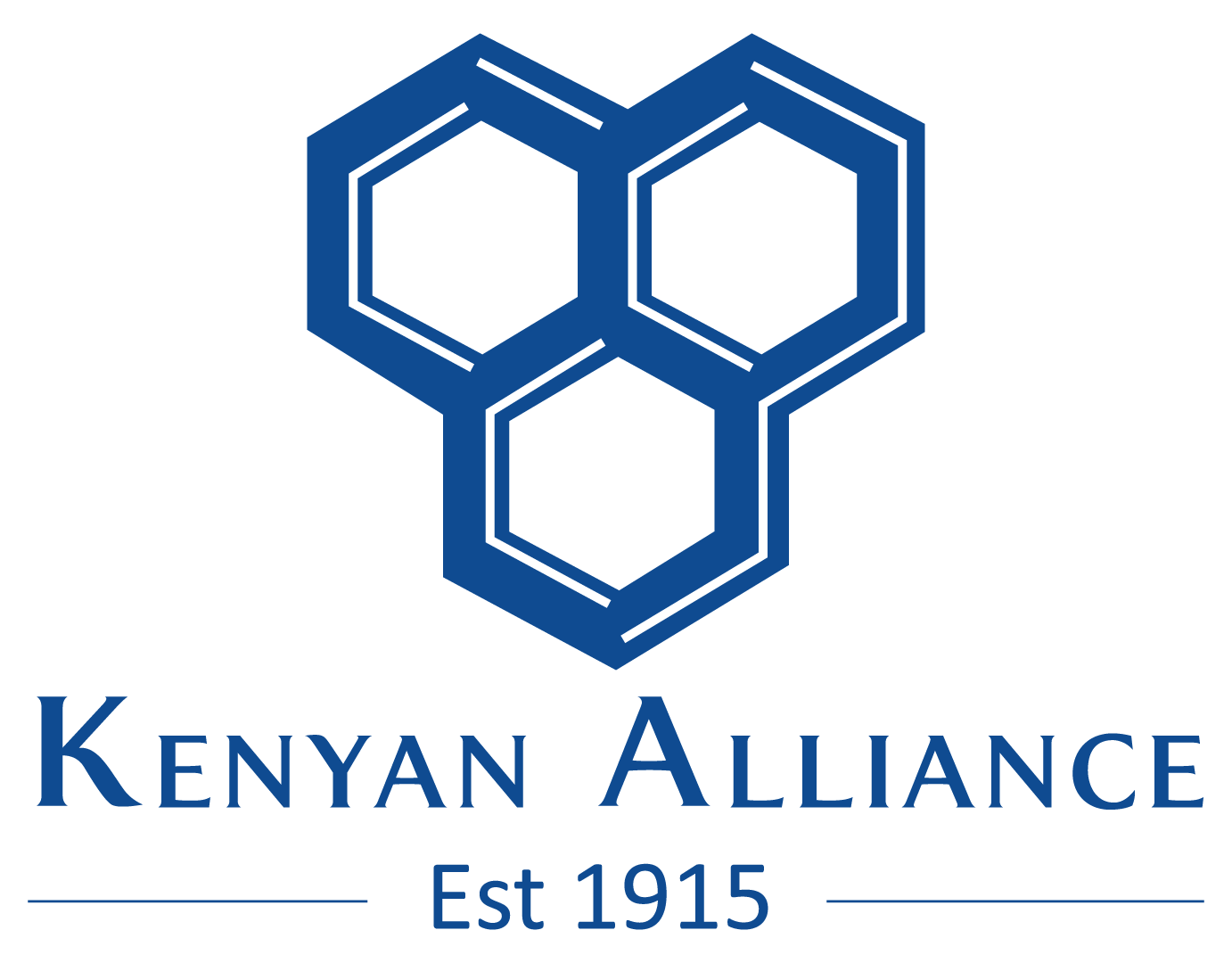 The Kenyan Alliance Insurance Co. Ltd